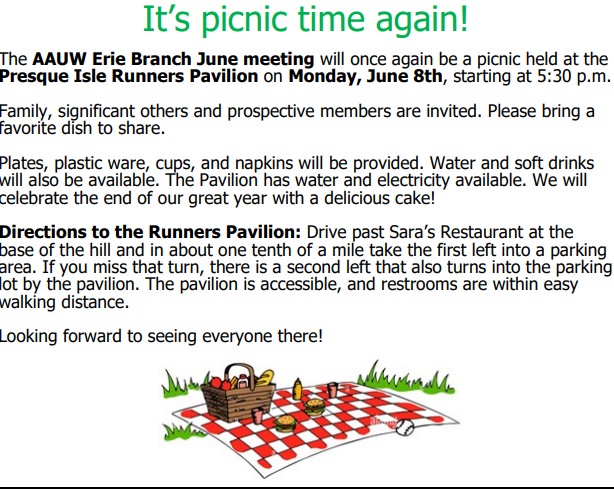 picnic-blurb-.jpg